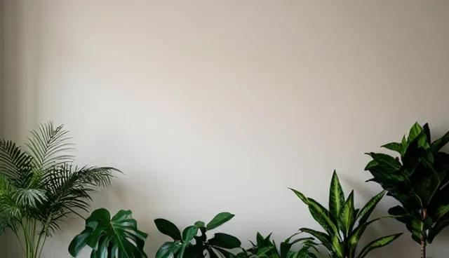 电商代运营中地区差异的常见误区与正确理解