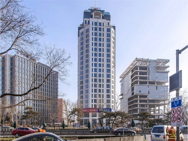 市区宠物罐头哪家好